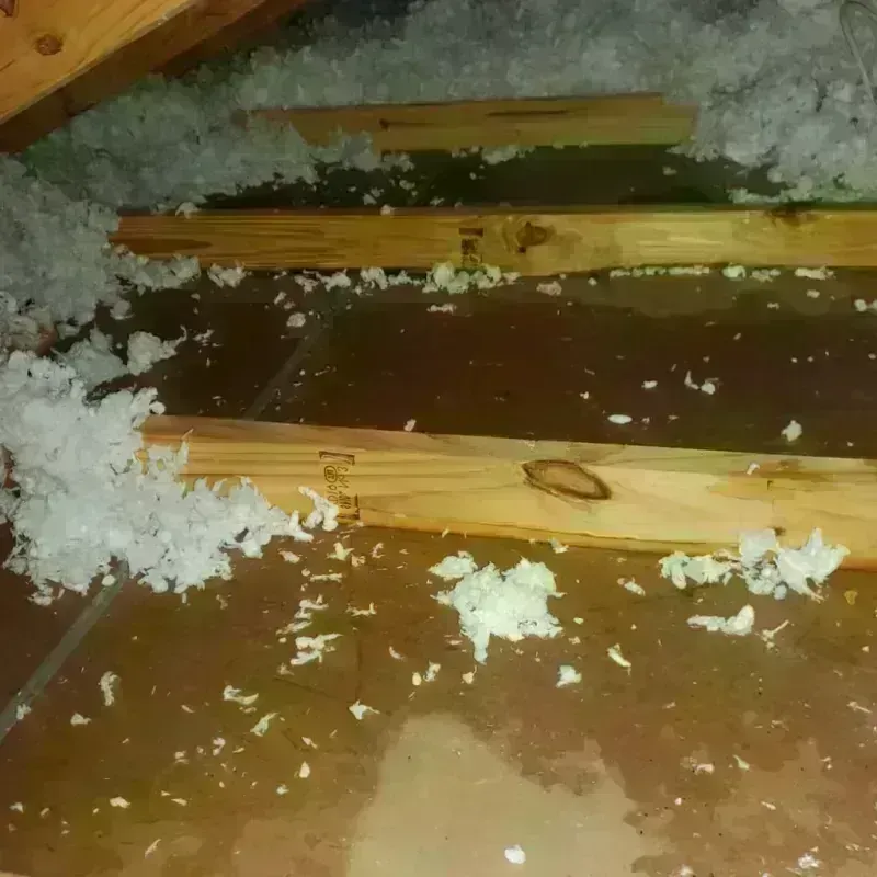 Attic Water Damage in Moorhead, MN