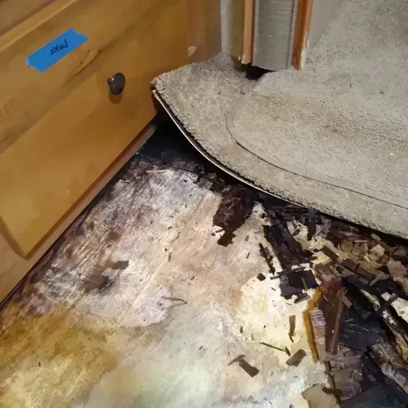 Wood Floor Water Damage in Moorhead, MN